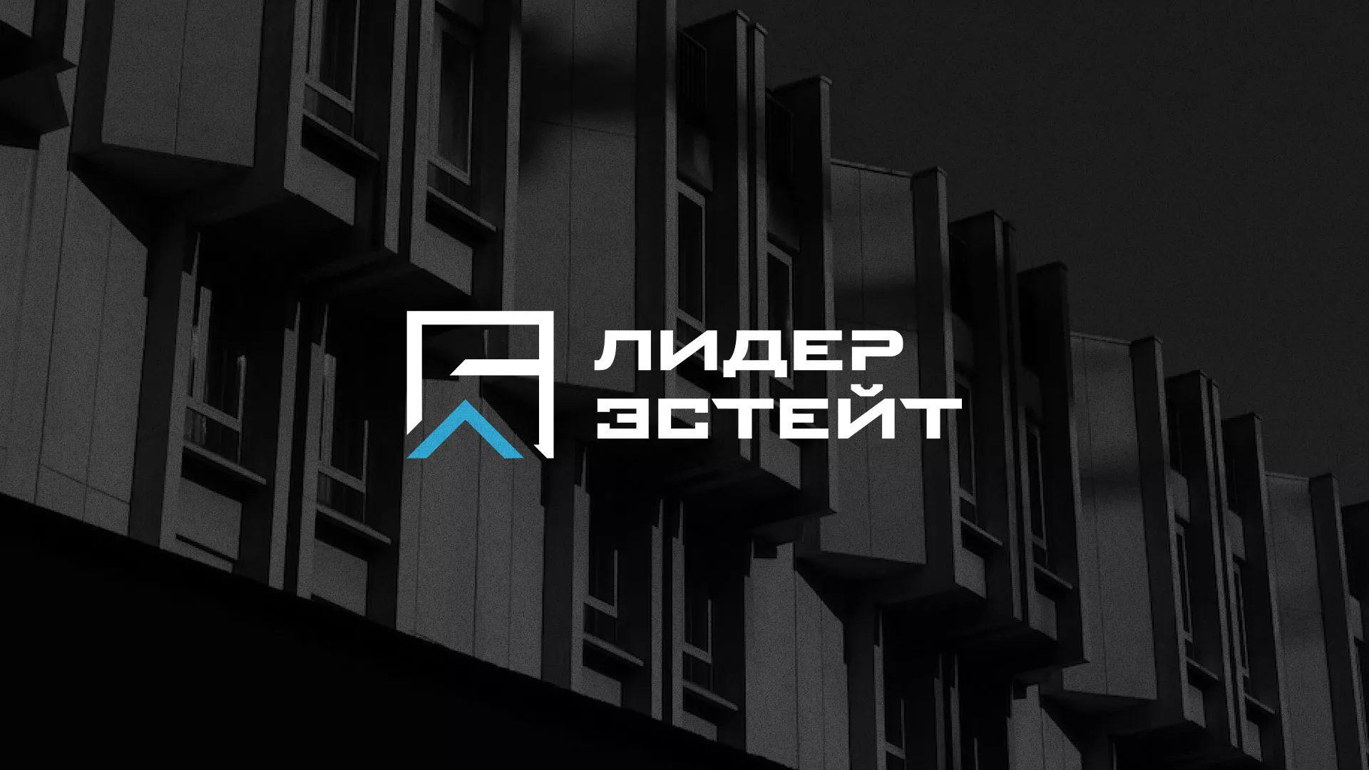 Разработка логотипа агентства недвижимости «Лидер Эстейт» в Белёве